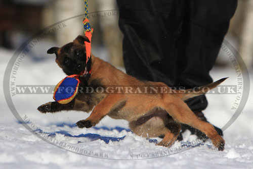 Dog Soccer Ball with Handle